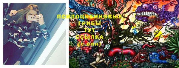 стаф Михайлов