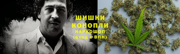 стаф Михайлов