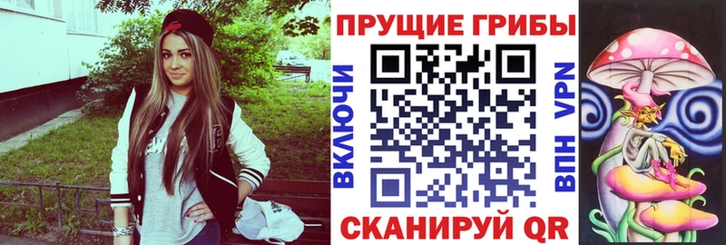 OMG   Уссурийск  Галлюциногенные грибы Psilocybe  купить наркотики цена 